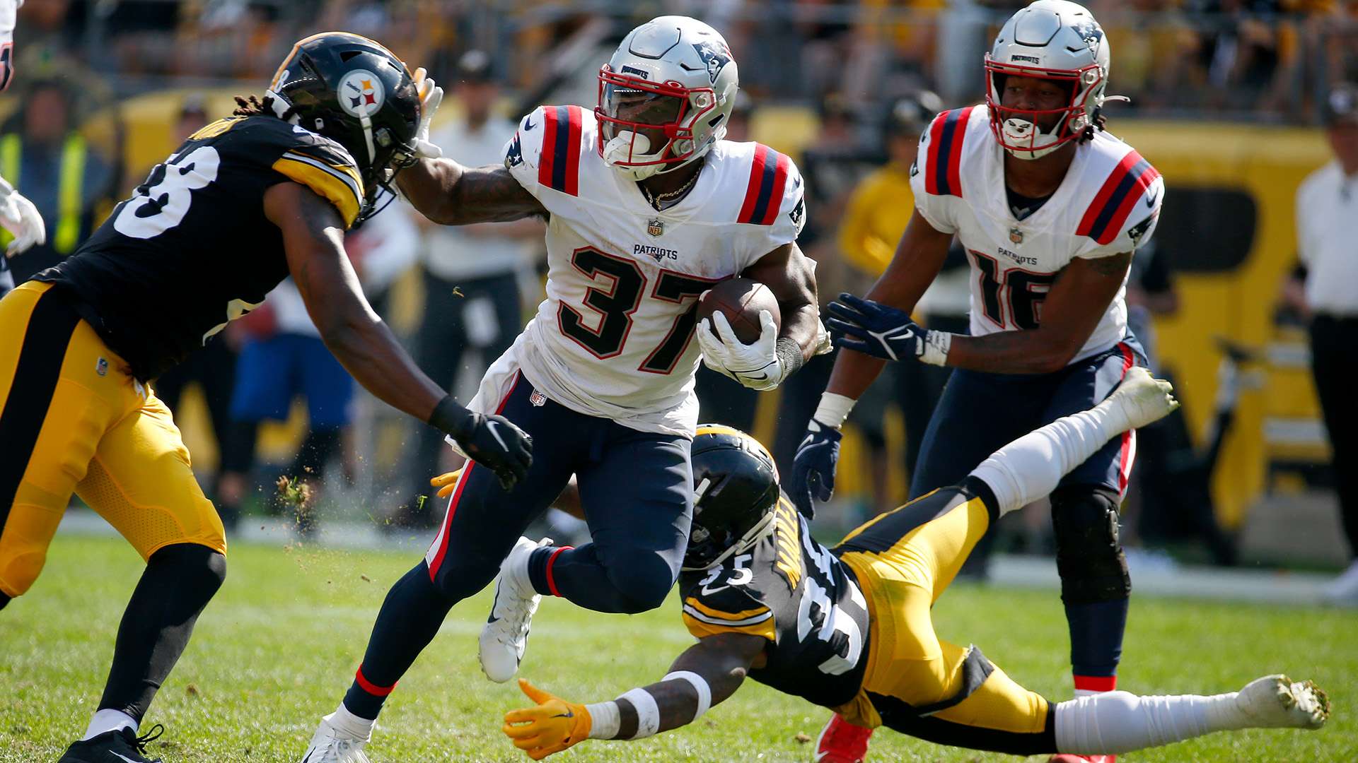 女足欧冠的 女足欧冠的