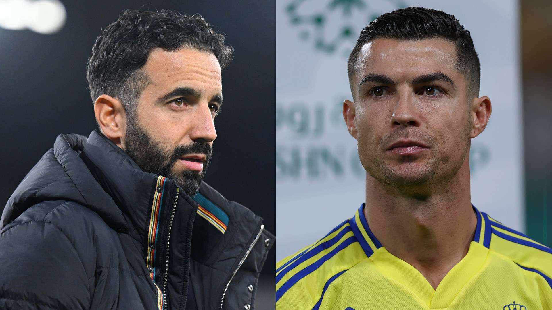 他的到来被 他的到来被